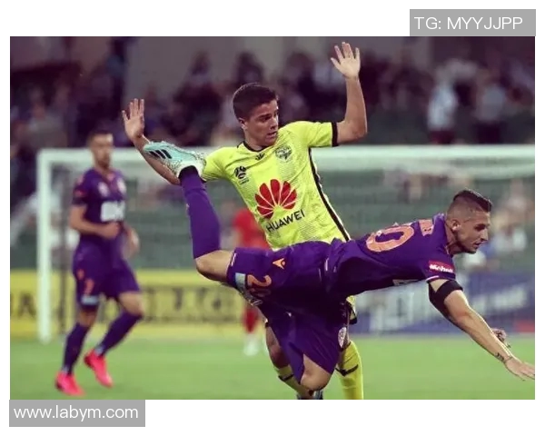 珀斯光荣与惠灵顿凤凰对决分析及赛前推荐策略分享 珀斯光荣与惠灵顿凤凰对决分析及赛前推荐策略分享