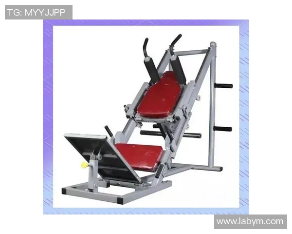 健身中心常见健身器材介绍及其功能解析，助你选择适合的锻炼工具