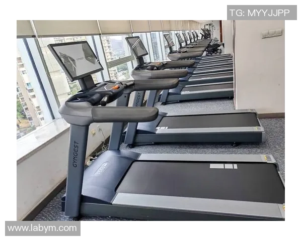 全面解析体育健身器材价格趋势及购买建议助你选择最优性价比产品