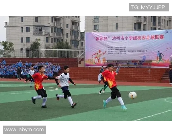 打造健康未来少儿体育培训学校助力孩子全面发展与成长