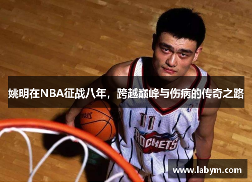 姚明在NBA征战八年，跨越巅峰与伤病的传奇之路