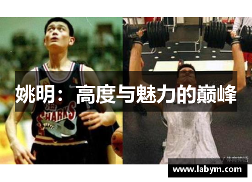 姚明：高度与魅力的巅峰