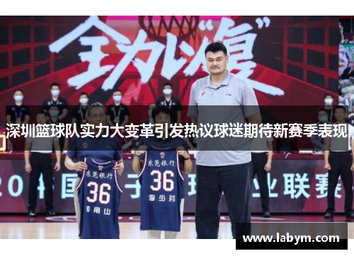 深圳篮球队实力大变革引发热议球迷期待新赛季表现