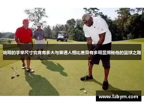 姚明的手掌尺寸究竟有多大与普通人相比差异有多明显揭秘他的篮球之路