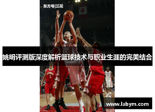 姚明评测版深度解析篮球技术与职业生涯的完美结合