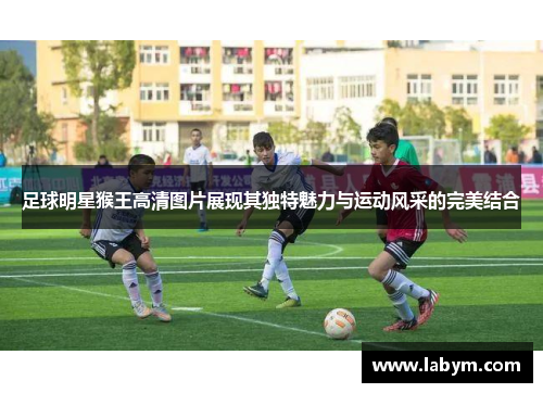 足球明星猴王高清图片展现其独特魅力与运动风采的完美结合