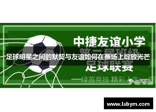 足球明星之间的默契与友谊如何在赛场上绽放光芒